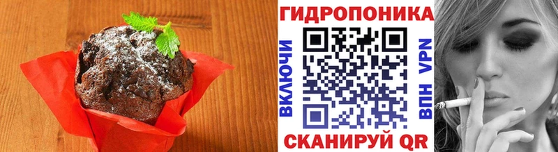 блэк спрут как зайти  Нарткала  Cannafood конопля 