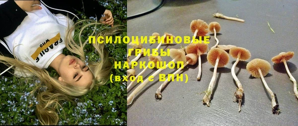 прущая мука Аркадак
