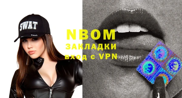 молекула духа Арсеньев