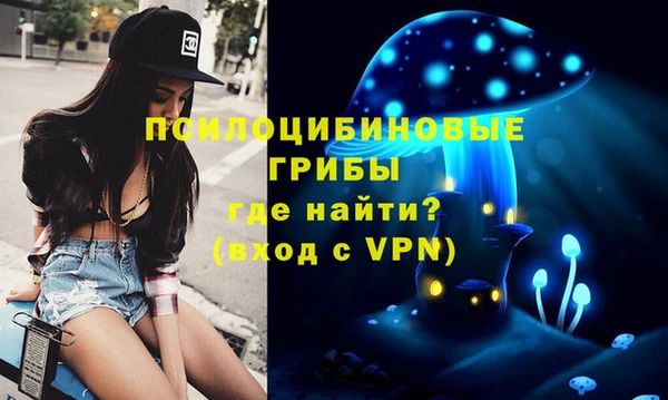 хмурый Алексин