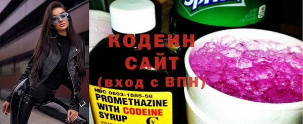 молекула духа Арсеньев